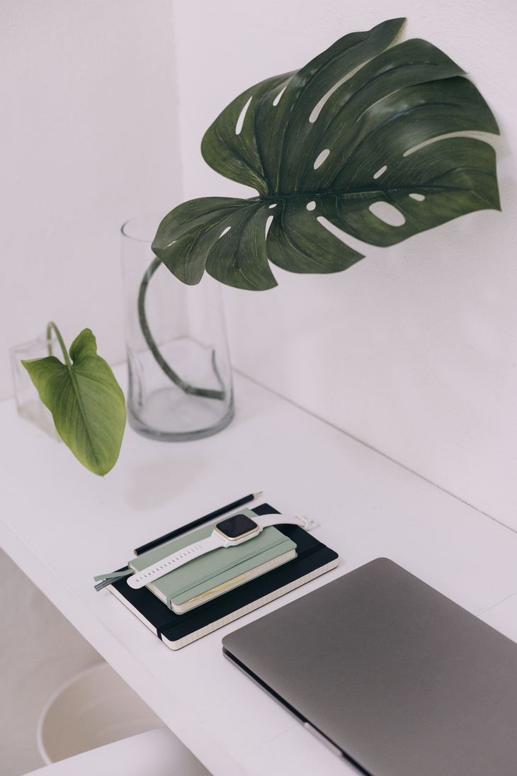 Minimalist Workspace with Plants and Gadgets